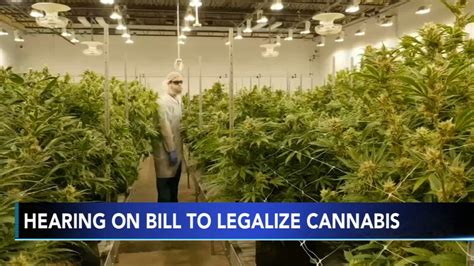Delaware Marijuana Legalization and Regulation Bills