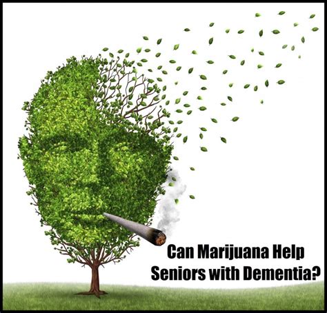 Is There a Link Between Cannabis Use and Cognitive Function?
