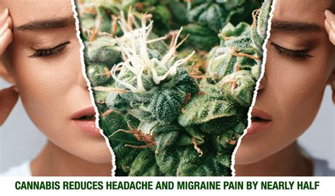 Is Cannabis a Viable Treatment for Migraines and Cognitive Health?