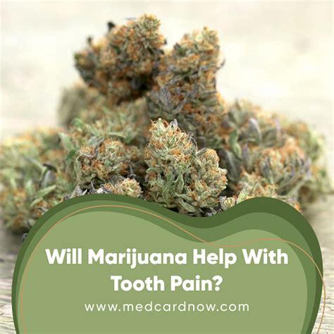 Is Cannabis an Effective Solution for Pain Relief?