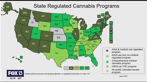 Florida's Marijuana Legalization Efforts