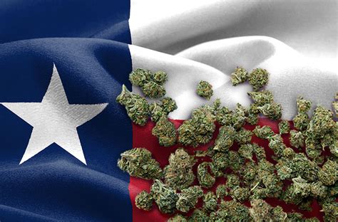 Understanding Texas Cannabis Laws