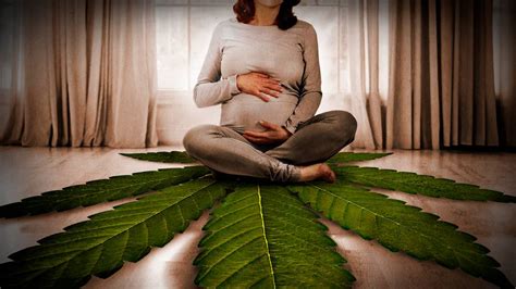 Is Marijuana Use During Pregnancy Harmful to Developing Babies?