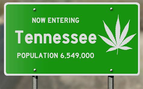 Is Tennessee Progressing Towards Legalizing Marijuana?