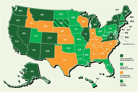 Understanding the Shift in U.S. Marijuana Policies: Federal and State Perspectives