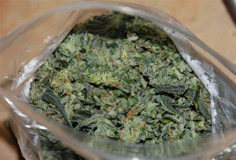 Is Marijuana Safe? Examining the Risks and Implications of Cannabis Use