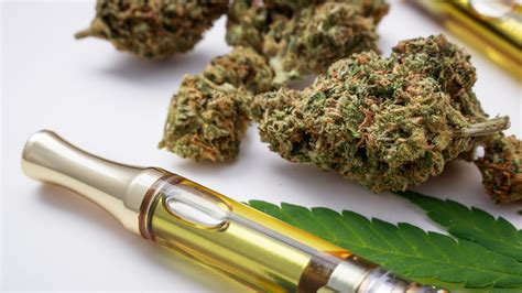 Is Cannabis Use Harmful to Your Health? Examining the Risks and Precautions