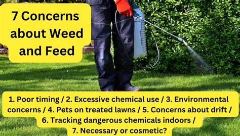 Weed-and-Feed Lawn Products