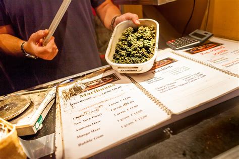 How is Cannabis Policy Shaped in the Netherlands?