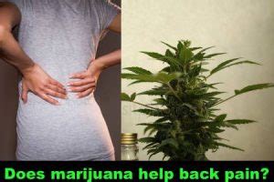 Is Cannabis an Effective Pain Reliever?
