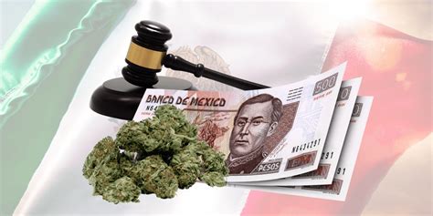 Understanding Cannabis Laws in the U.S. and Mexico: A 2023 Guide