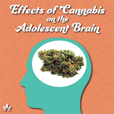Is Marijuana Harmful to Teen Brains? Unpacking the Research