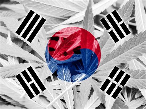 Understanding South Korea's Drug Laws and Policies