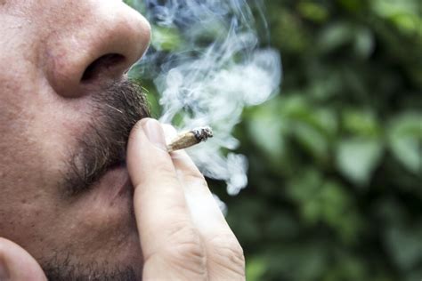 Is Cannabis Use Safe for Your Health? Uncovering the Risks and Guidelines