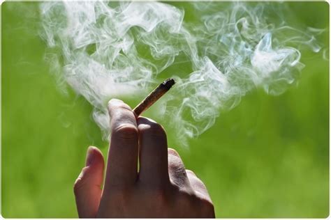 Is Secondhand Marijuana Smoke Harmful for Kids? Examining Recent Studies