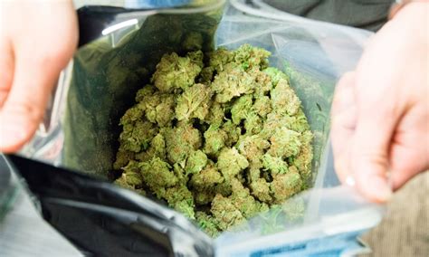 Is Marijuana Use Harmful? Insights into Health Risks and Safe Consumption