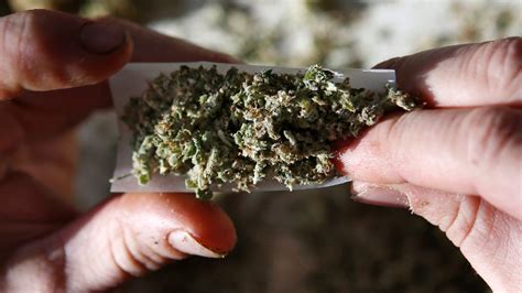 Cannabis Legalization in Canada and U.S. Impact