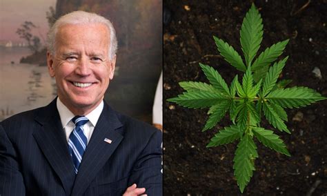 President Biden on Marijuana Reform