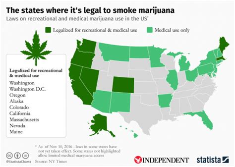 Understanding Florida's 2023 Legislation on Recreational Marijuana Legalization
